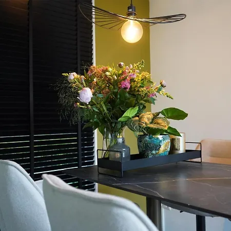 Prachtig Luxe Afgewerkt En Splinternieuw Дом отдыха Molenschot